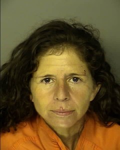 Suprano Jenine Lee Fraudulent Check Under 500 Breach Of Trust With Fraudulent Intent Under 2000