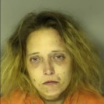 Swinson Sara Megan Moser Burglary 3rd Trespass