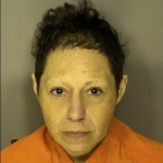 Piatz Kellee Ann Pedestrian On Controlled Access Highway Resist Arrest Common Law Robbery Strong Arm Robbery