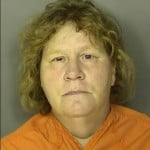 Ward Shelia Jane Shoplifting Under 2000 Trespassing On Anothers Land Withoutpermission