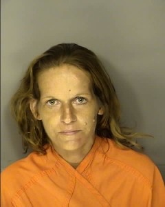 Hendrix Nicole Renee Trespassing On Anothers Land Withoutpermission