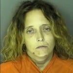 Swinson Sara Megan Moser Malicious Injury To Tree House Possession Of A Stolen Vehicle Under 2000