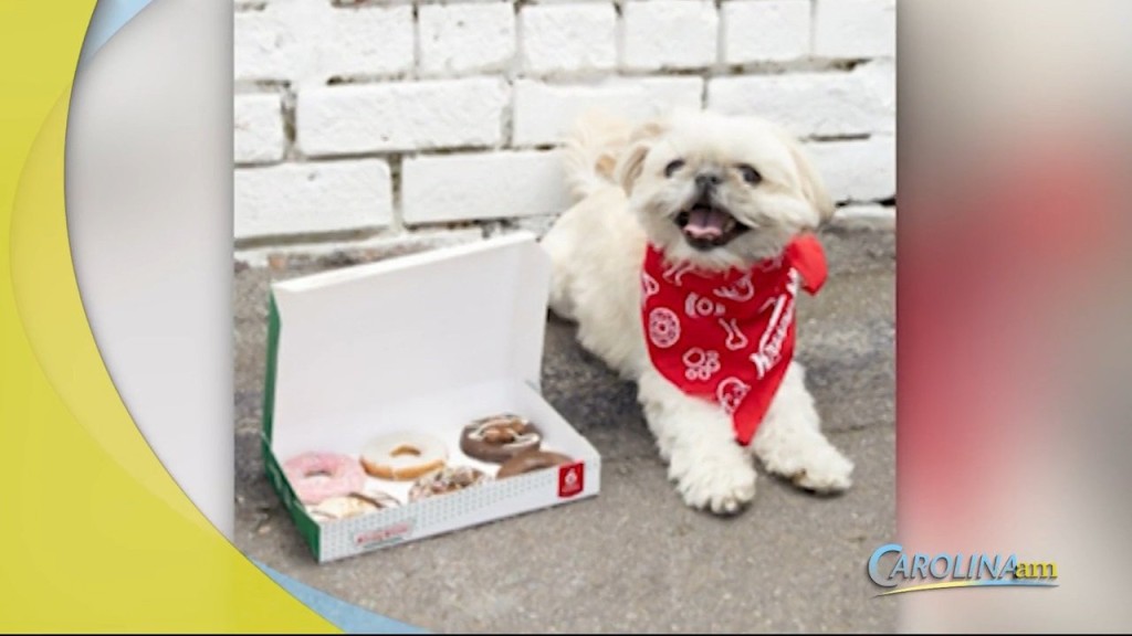 Krispy Kreme