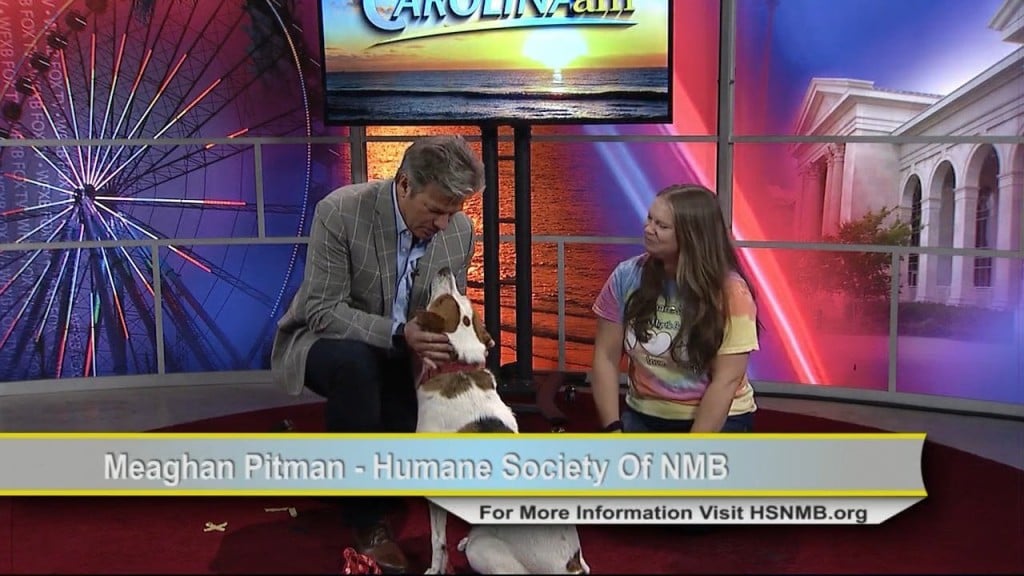 Camj 0826 Humane Society Link