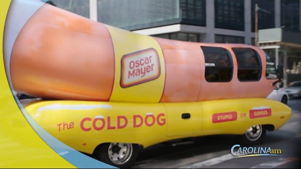 Cold Dogs