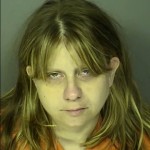 Hamilton Stephanie Lee Hit And Run Duties Of Driver Involved In Accident Property Damage