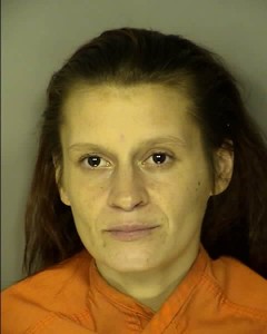 Arant Brandy Leigh Violation Of Probation