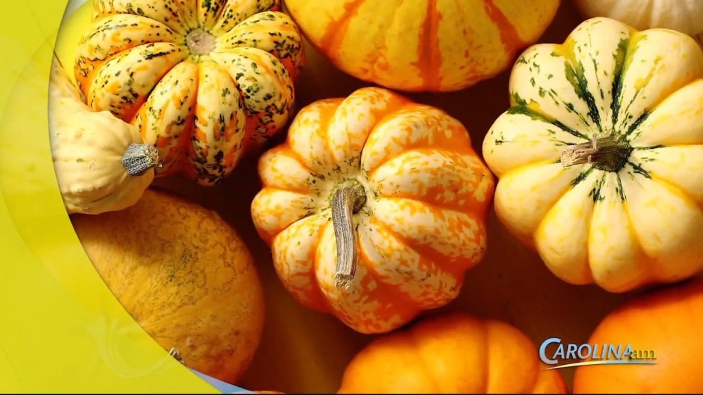 Pumpkin Spice