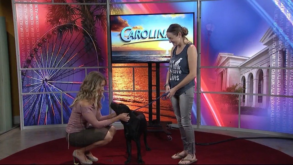 Cam 0923 Gs Humane