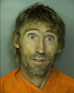 Hicks Kelly Wilton Obtain Signature Or Prop Under False Pretenses Value 5000 Or More