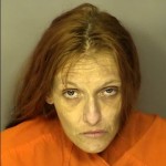 Kearney Jennifer Gail Shoplifting Under 2000