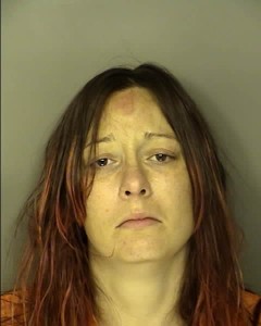 Antasek Rachel Marie Fugitive Pedestrian On Controlled Access Highway