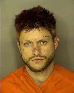 Whitney Joshua David Driving Under Suspension Failure To Stop For A Blue Light Failure To Appear Kidnapping Domestic Violence 1st Degree