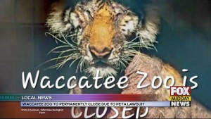 Waccatee Zoo