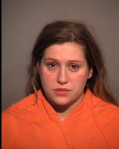 Dresner Hannah Leah Assault Assault And Battery