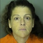 Mcclelland Sammi Lee Petit Or Simple Larceny Under 2000