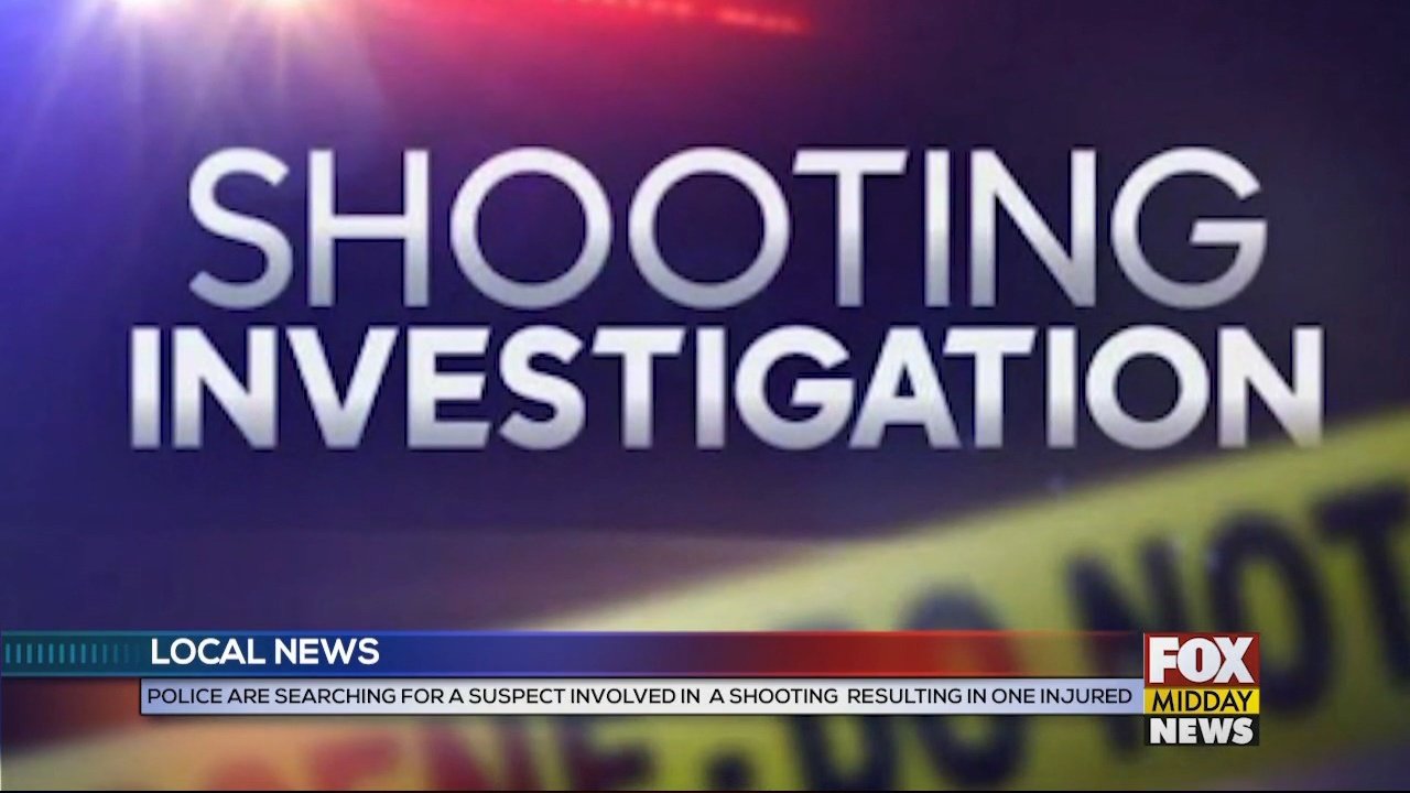 Police Are Searching For Suspect Involved In Lake City Shooting - WFXB