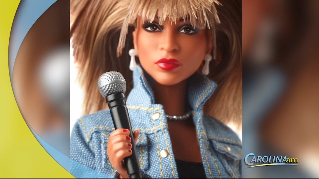 tina turner barbie