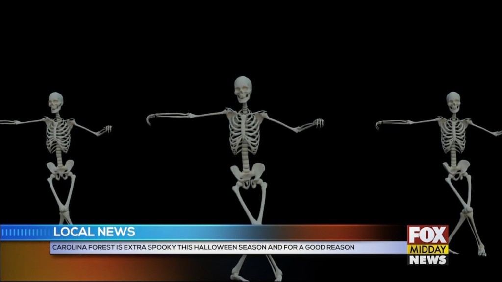 Skeleton
