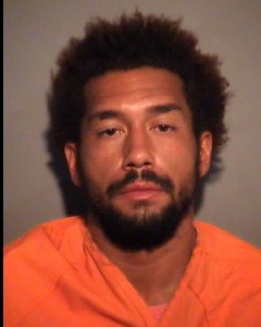 Davis Travis Jerquentin No Charges Listed