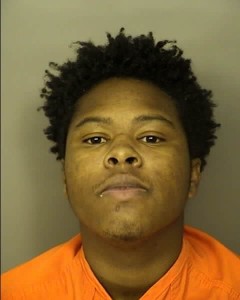 Brown Terold Lamart Assault Battery 3rd Degree Pedestrian On Controlled Access Highway Resisting Arrest