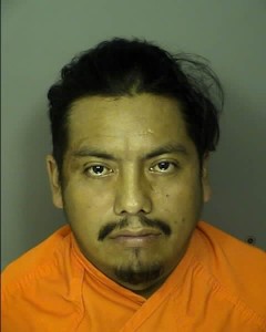 Lopez Soto Carlos Humberto Pedestrian Drunk