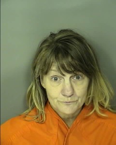 Brooks Kimberly Ann Driving Under Suspension Giving False Information To Law Enforcemen Unlawful Turningturning From Wrong Laneor Improper Signal Poss Lt One Gram Ice Crank Or Crackcocaine