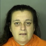Anderson Patti Ann Driving Under Suspension Operating Uninsured Vehicle