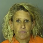 Cook Stacie Rene Obtaining Signature Or Property By False Pretenses Under 2000