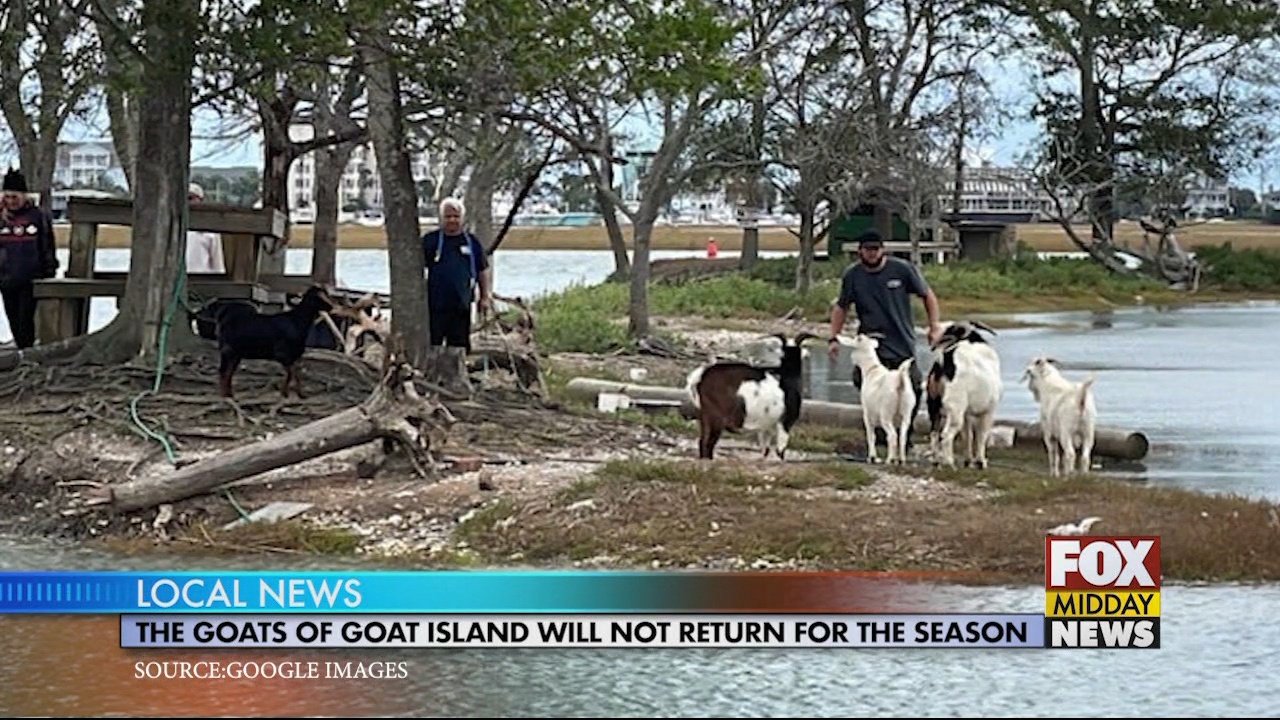 The Goats Of Goat Island Will Not Return For The Rest Of The Season WFXB