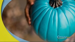 Cam 1031 Teal
