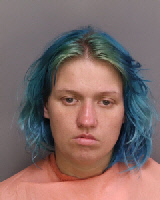 Wallace Erin Nicolette Manufacturing Distribution Of Methamphetam Giving False Information To Law Enforcement