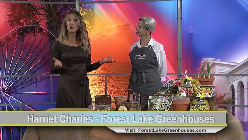 Cam 114 Forestlake Greenhouses