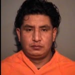Velasquez Brayan Driving Without A License