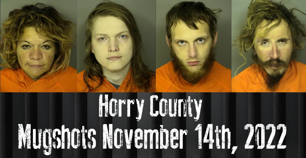 Horry County Mugshots November 14th 2022 Wfxb