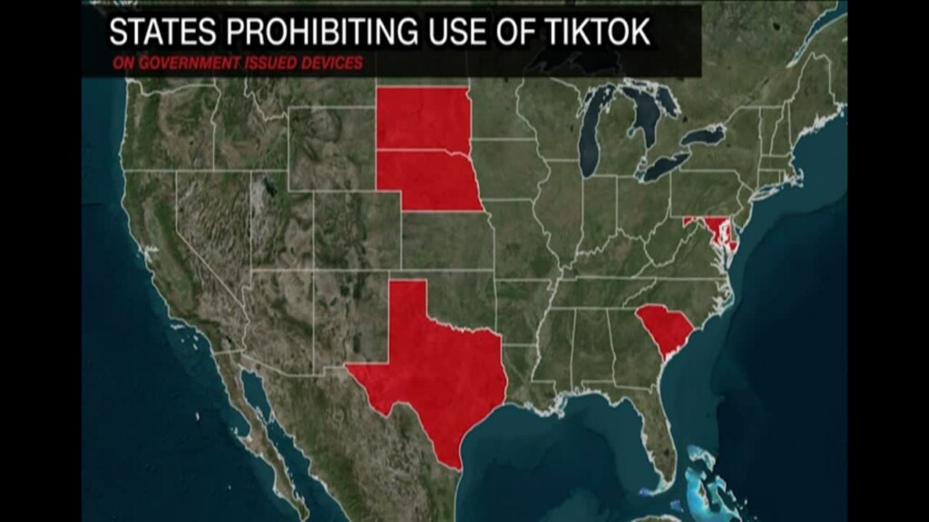 Tiktok Crackdown Grows; Is Us Moving Towards Total Ban?