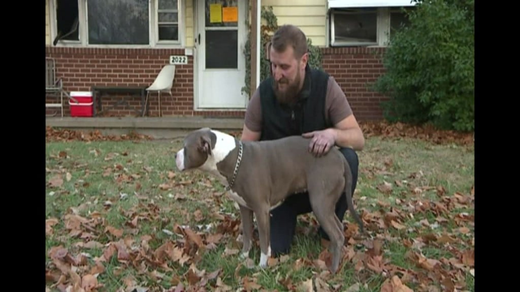Ks: Dog Saves Her Sleeping Owner's Life From Fire