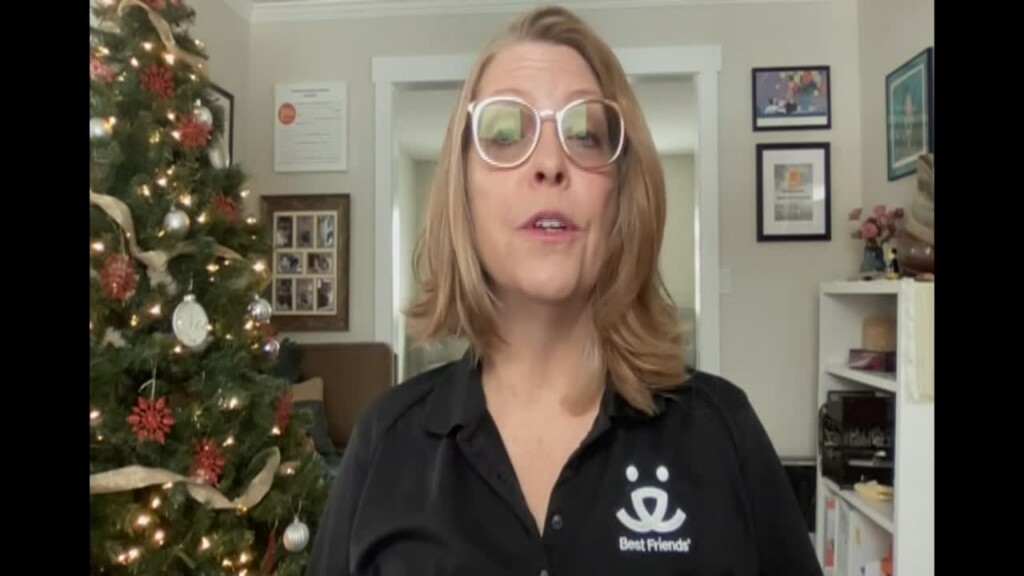 Consumer Watch: Pets As Holiday Gifts Dos And Don'ts