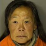 Wassilie Sarah Public Disorderlypublic Intoxication