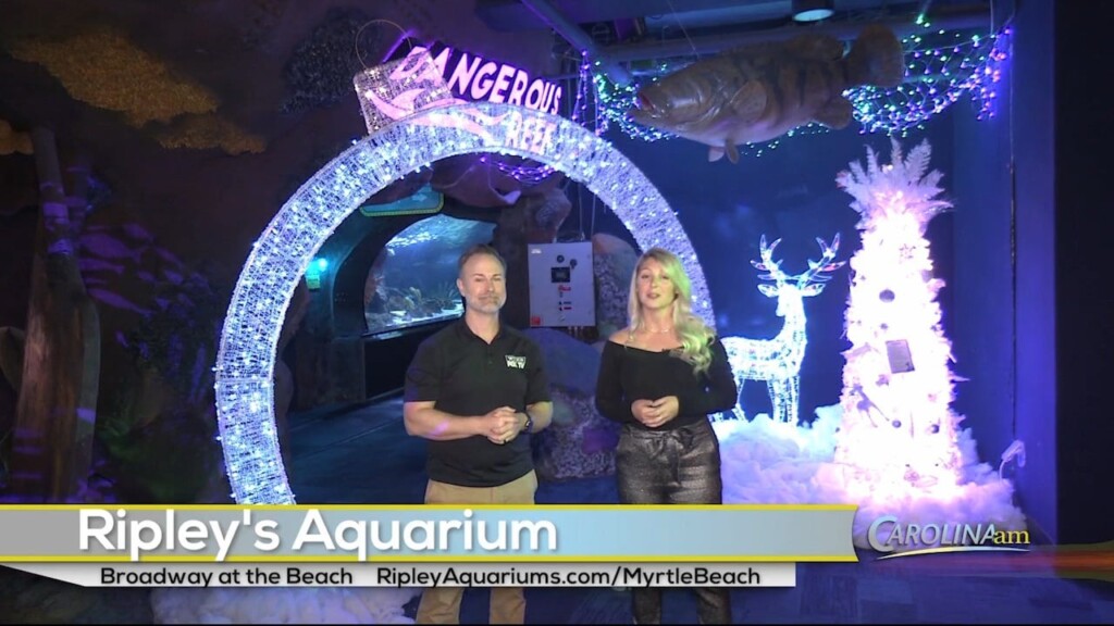Ripley's 122022