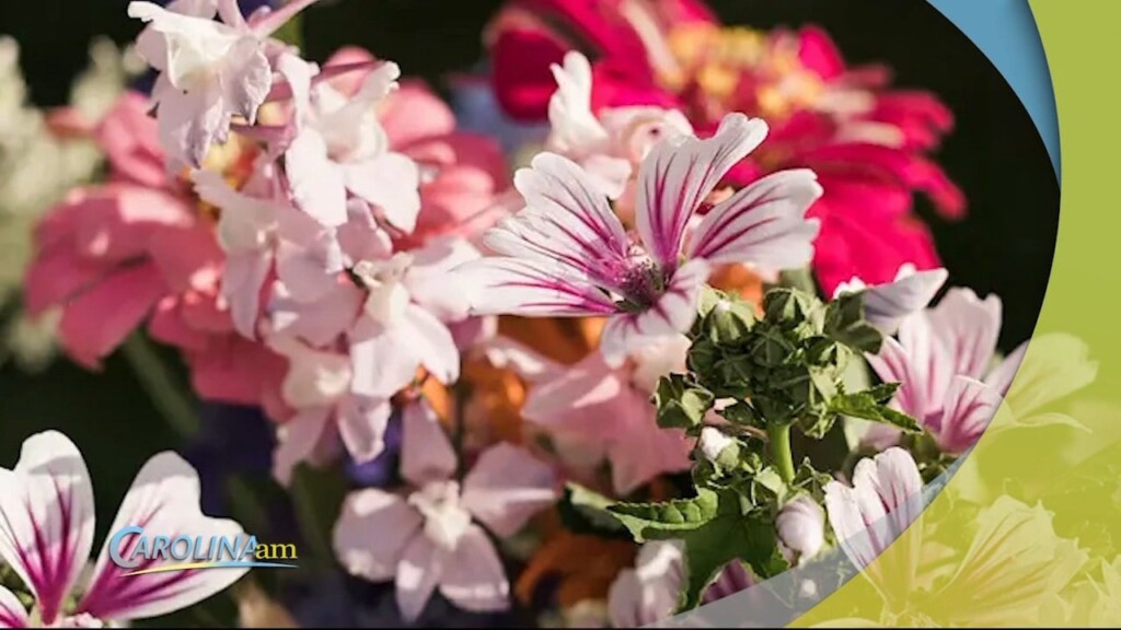 Wedding Floers