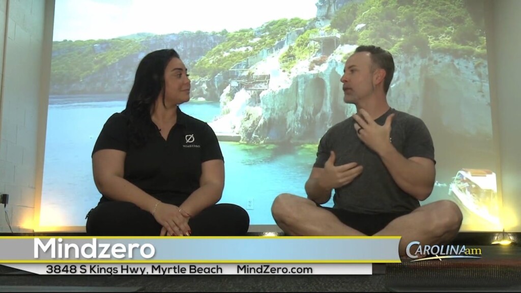 Mindzero