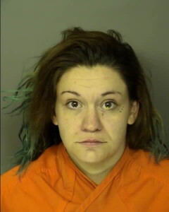 Leavitt Katie Mckenzie Poss Conceal Sell Or Dispose Of Stolen Vehicle Value 5000 Or More
