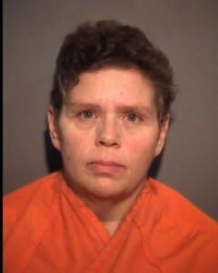 Gallow Lisa Ann Use Of Vehicle Wo Permission For Temppurpose Only Unconnected To Other Crime