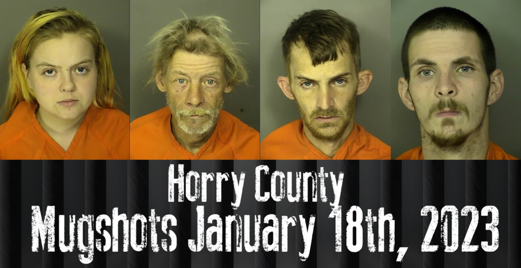 Horry County Mugshots December 19th 2022 Wfxb