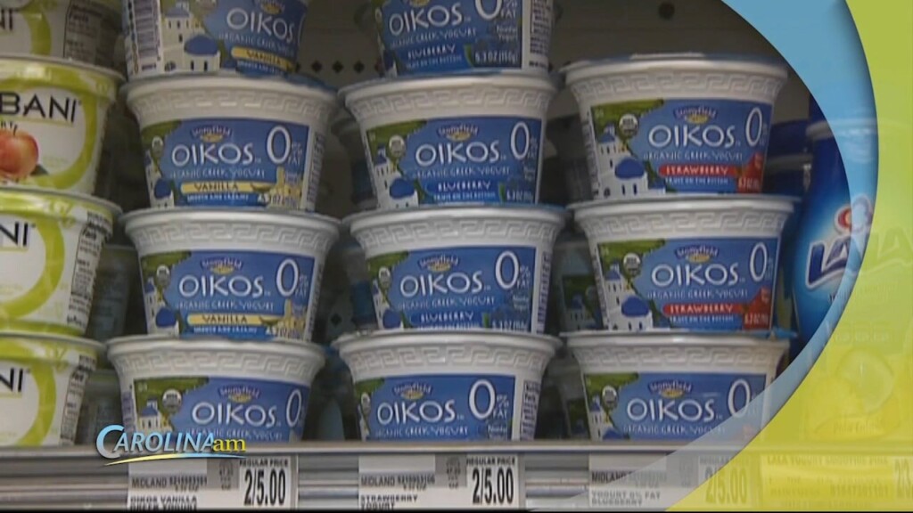 Cam 0103 Yogurt
