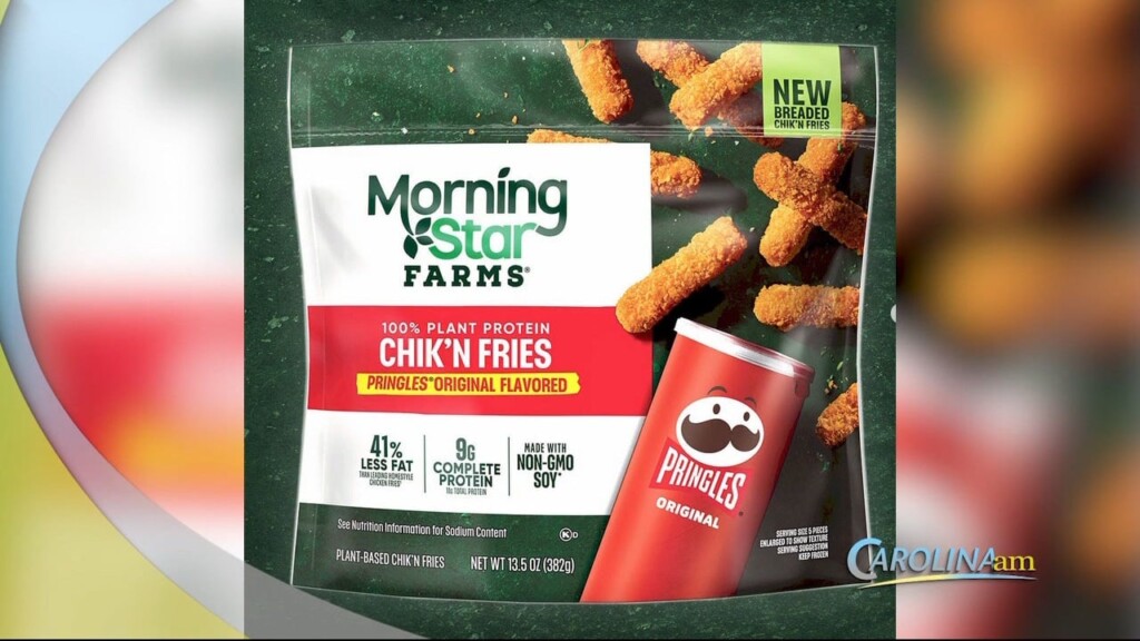 Cam 0228 Chicken Fries