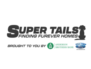 Super Tails Logo Web