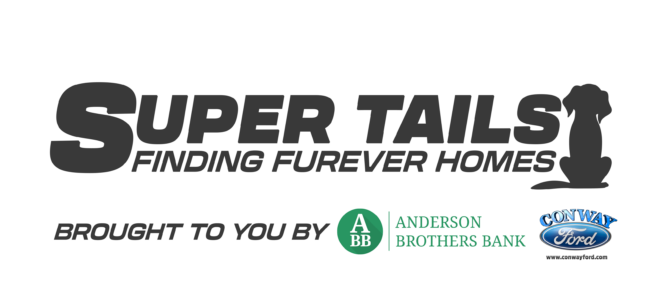 Super Tails Logo Web