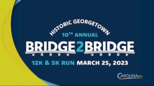 Bridge2bridge Run 022223